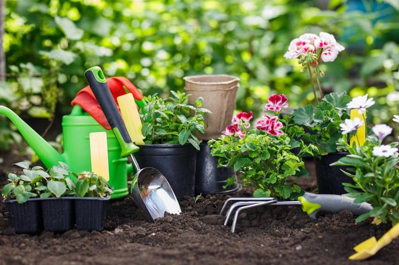 A website to grow your gardening business
