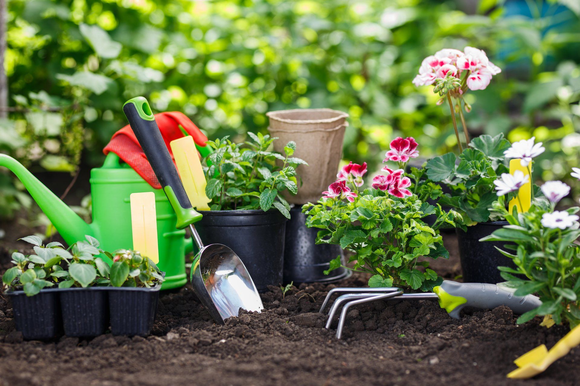 Gardening